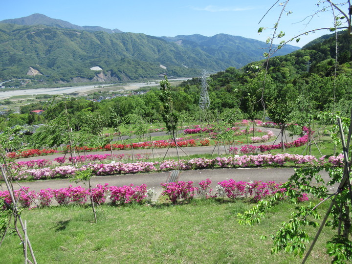 2020年5月8日の様子の画像2