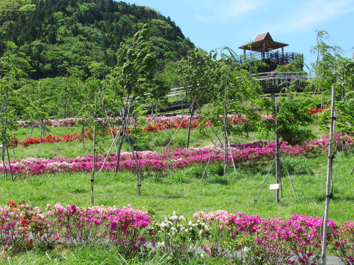 2020年5月8日の様子の画像3
