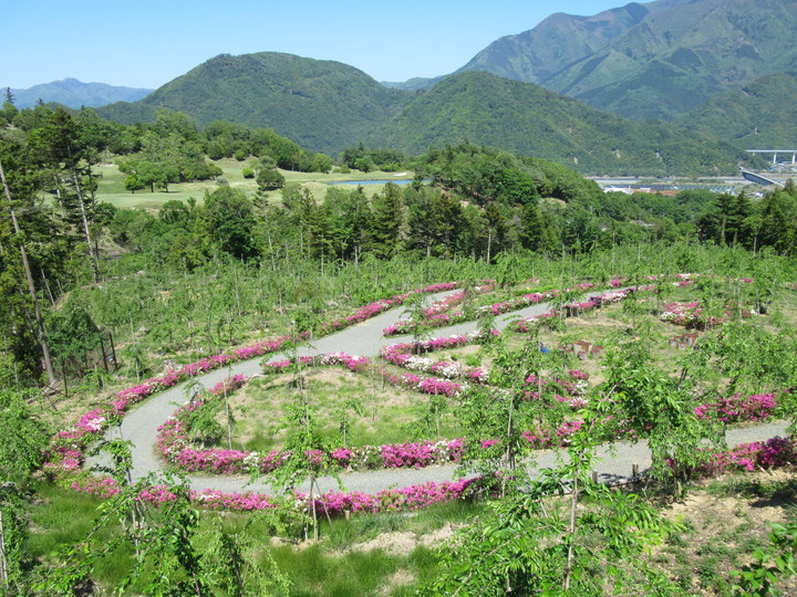 2020年5月8日の様子の画像5