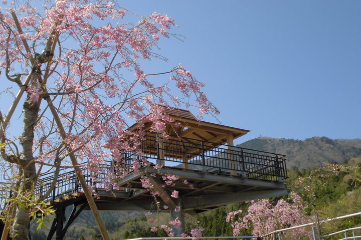 2020年4月の様子の画像1