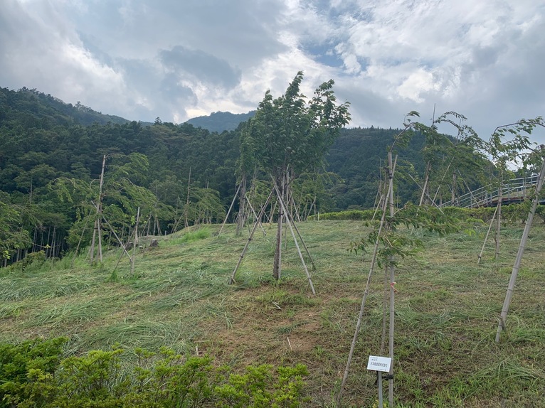 2019年8月22日の様子の画像2