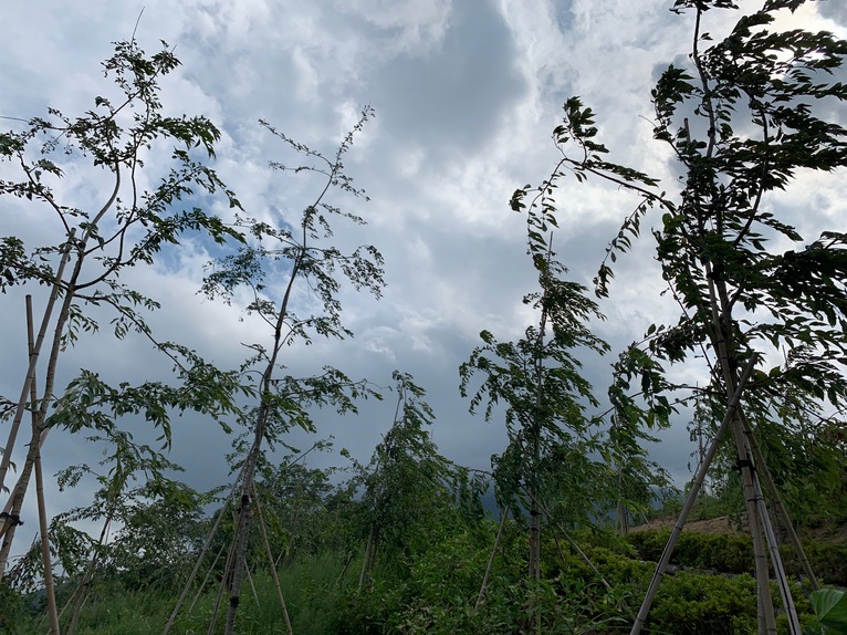 2019年8月22日の様子の画像3