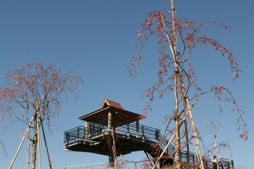 2019年4月4日の様子の画像1