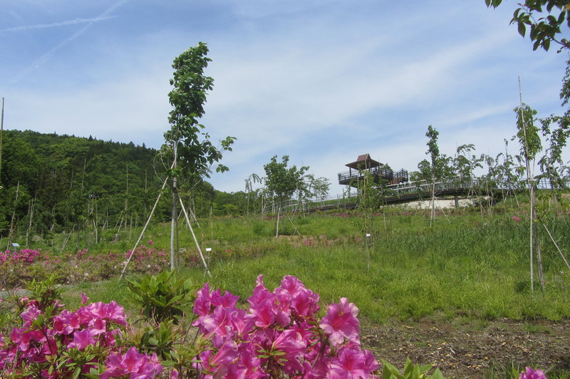 2018年5月11日の様子の画像1