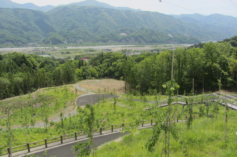 2018年5月11日の様子の画像2