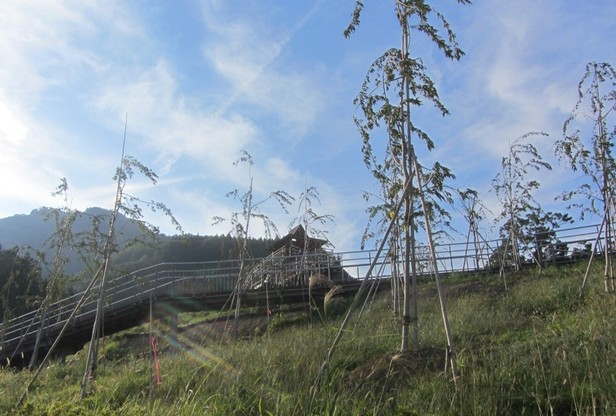 9月29日現在の様子の画像1