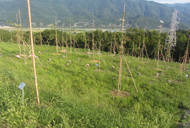 9月29日現在の様子の画像2