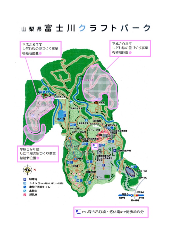 しだれ桜の里事業桜植栽位置の画像