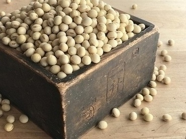 登録番号 第119号 あけぼの大豆の画像2