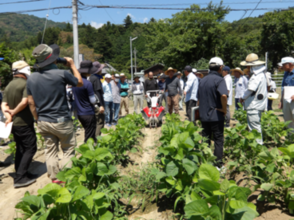 第2回栽培講習会　令和7年7月23日（八日市場）の画像1