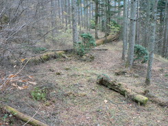 【国指定史跡】甲斐金山遺跡　中山金山の画像1