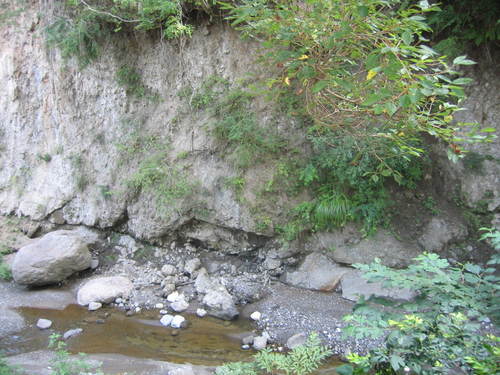 【県指定天然記念物】手打沢の不整合露頭の画像
