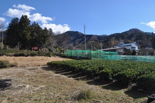 【町指定史跡】桜井付近の遺跡の画像