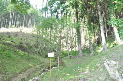  【町指定天然記念物】梨子の甲州野梅の画像