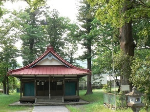  【町指定天然記念物】常葉諏訪神社大ケヤキ等の画像