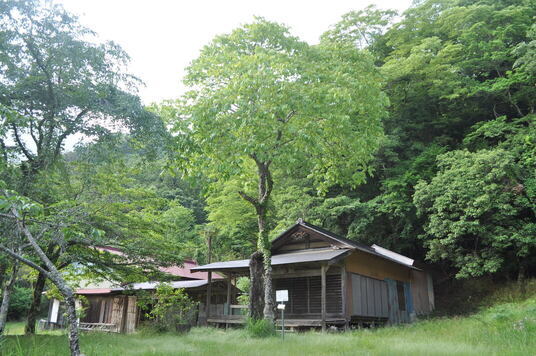 【町指定天然記念物】ムクロジの画像