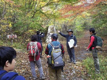 11月13日（木曜日)の画像4