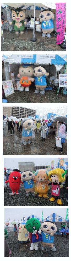 11月6日（木曜日)の画像3