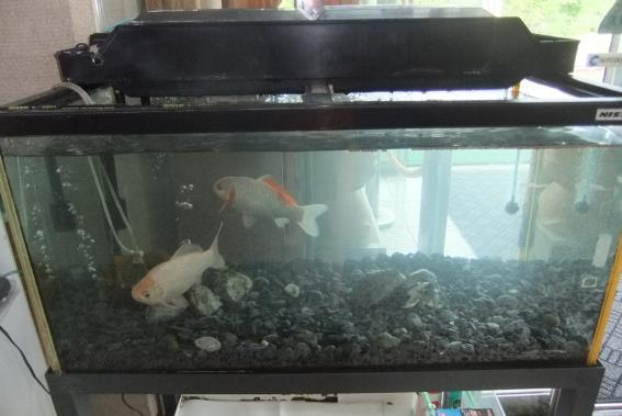 8月20日(木曜日）の画像2