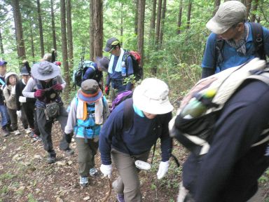 8月3日(月曜日）の画像