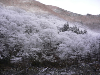 3月17日（金曜日）の画像1