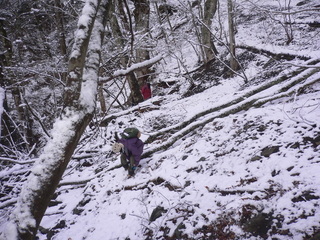 3月17日（金曜日）の画像2