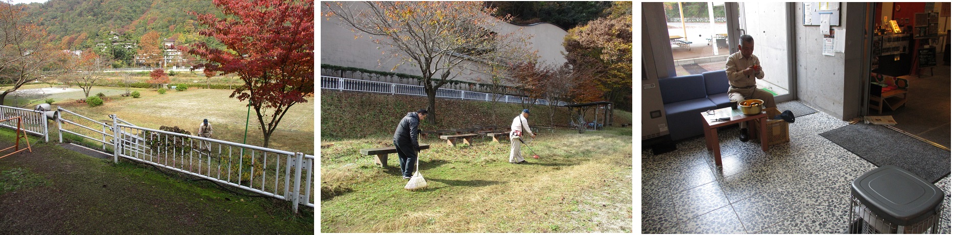 11月12日（月曜日）の画像