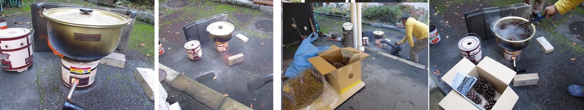 11月10日（土曜日）の画像1