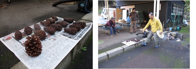 11月10日（土曜日）の画像2