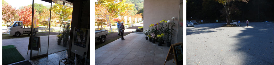 11月8日（木曜日）の画像1