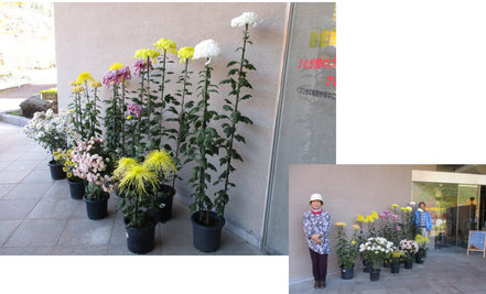 11月8日（木曜日）の画像2