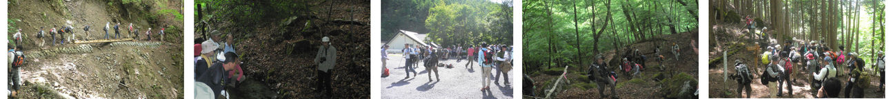 6月10日（日曜日）の画像
