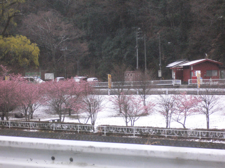 3月21日（水曜日）の画像2