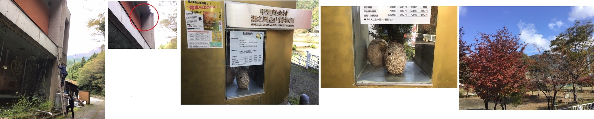 11月3日（火曜日​）の画像