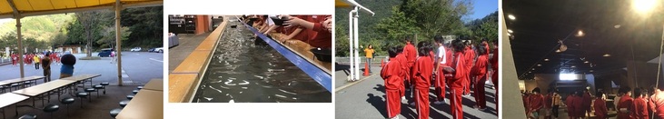 10月13日（火曜日​）の画像