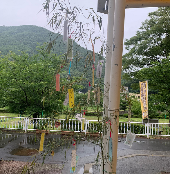 7月3日(金曜日​)の画像