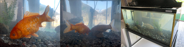 5月17日(日曜日​)の画像