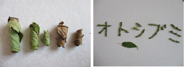 5月12日（火曜日​）の画像2