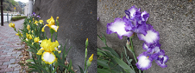 4月17日(金曜日)(2)の画像2