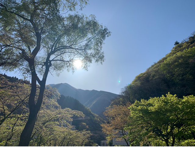 4月14日(火曜日)(2)の画像