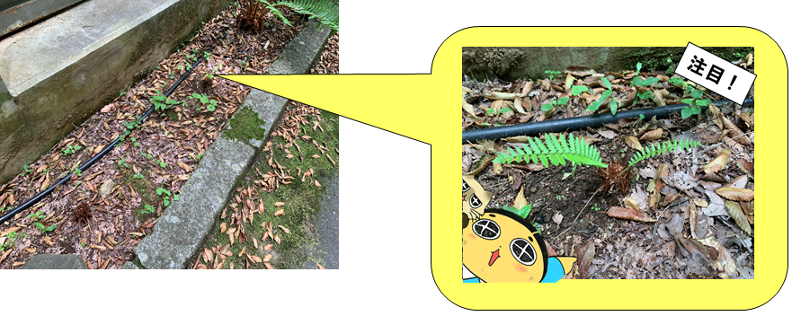 7月1日（木曜日​） の画像2