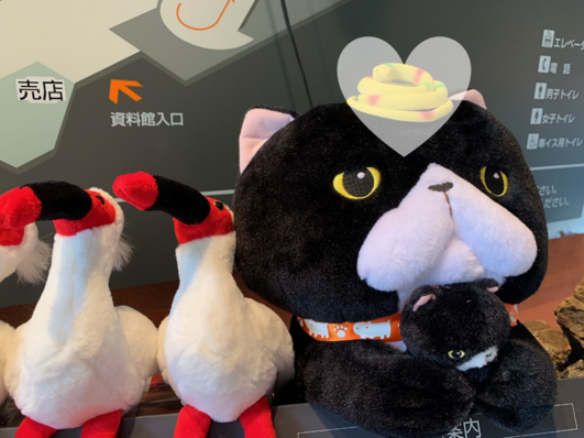 6月22日（火曜日​） の画像3