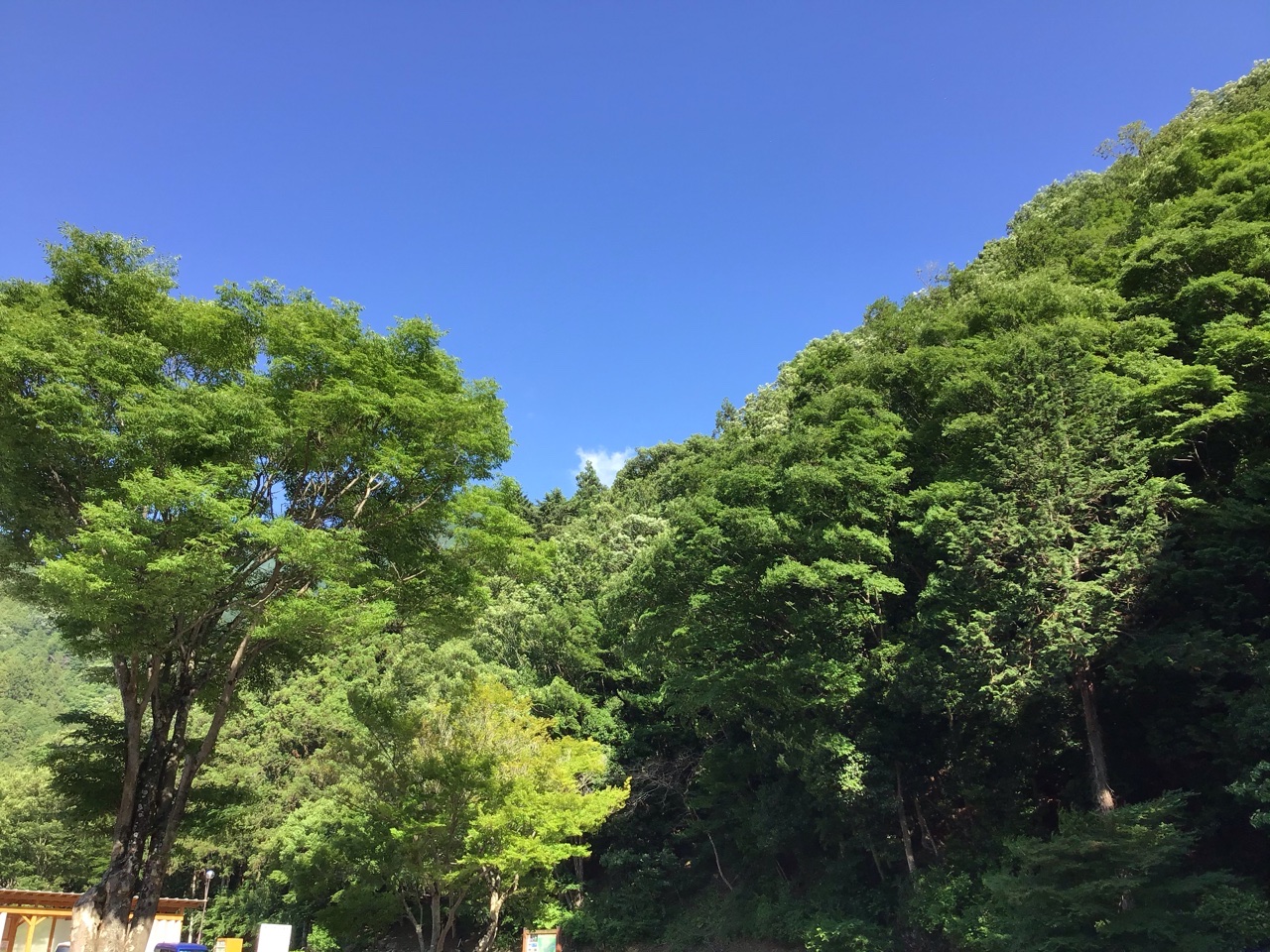 5月23日（日曜日​） の画像