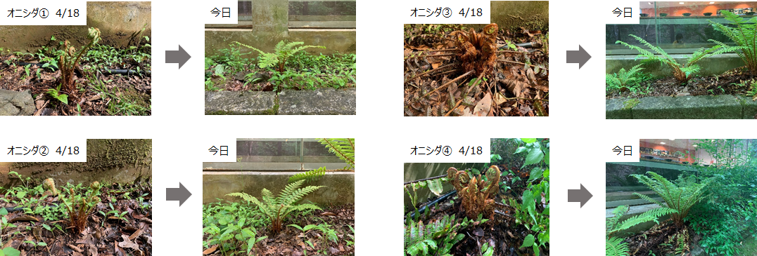 5月11日（火曜日​） の画像1