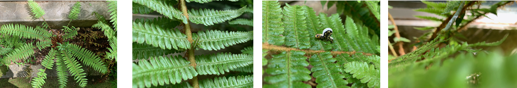 5月11日（火曜日​） の画像2