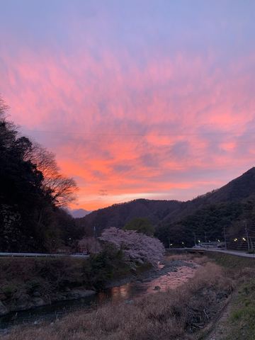 3月30日（火曜日​） の画像