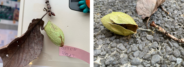 3月26日（金曜日​） の画像