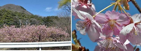 3月16日（火曜日​） の画像