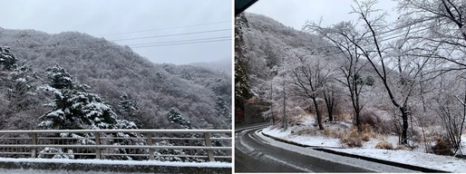 3月13（土曜日​） の画像1