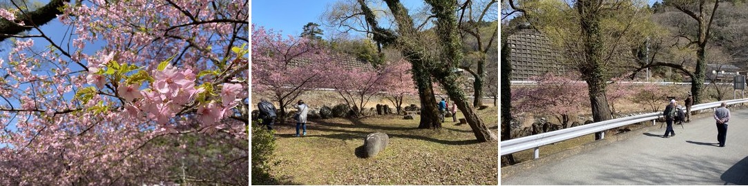 3月11日（木曜日​） の画像